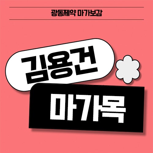 김용건 마가목 마가보감 프리미엄 가격 정품 판매처 추천