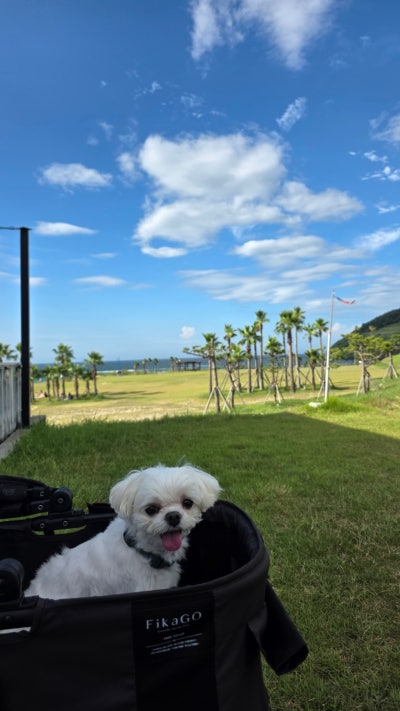 사진 5