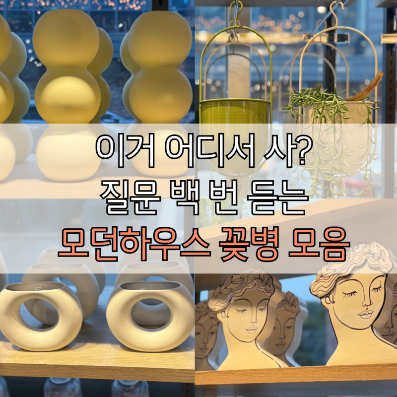 이거 어디서 샀어요? 인스타 감성 모던하우스 화병 꽃병 모음