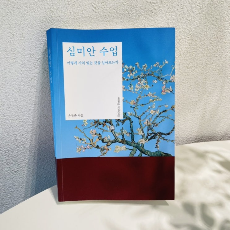  심미안 수업 / 어떻게 가치 있는 것을 알아 보는 가/윤광준