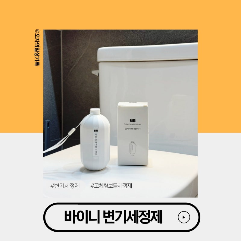 화장실 변기 물때 제거 바이니딥클린 변기세정제 자동 고체형 보틀