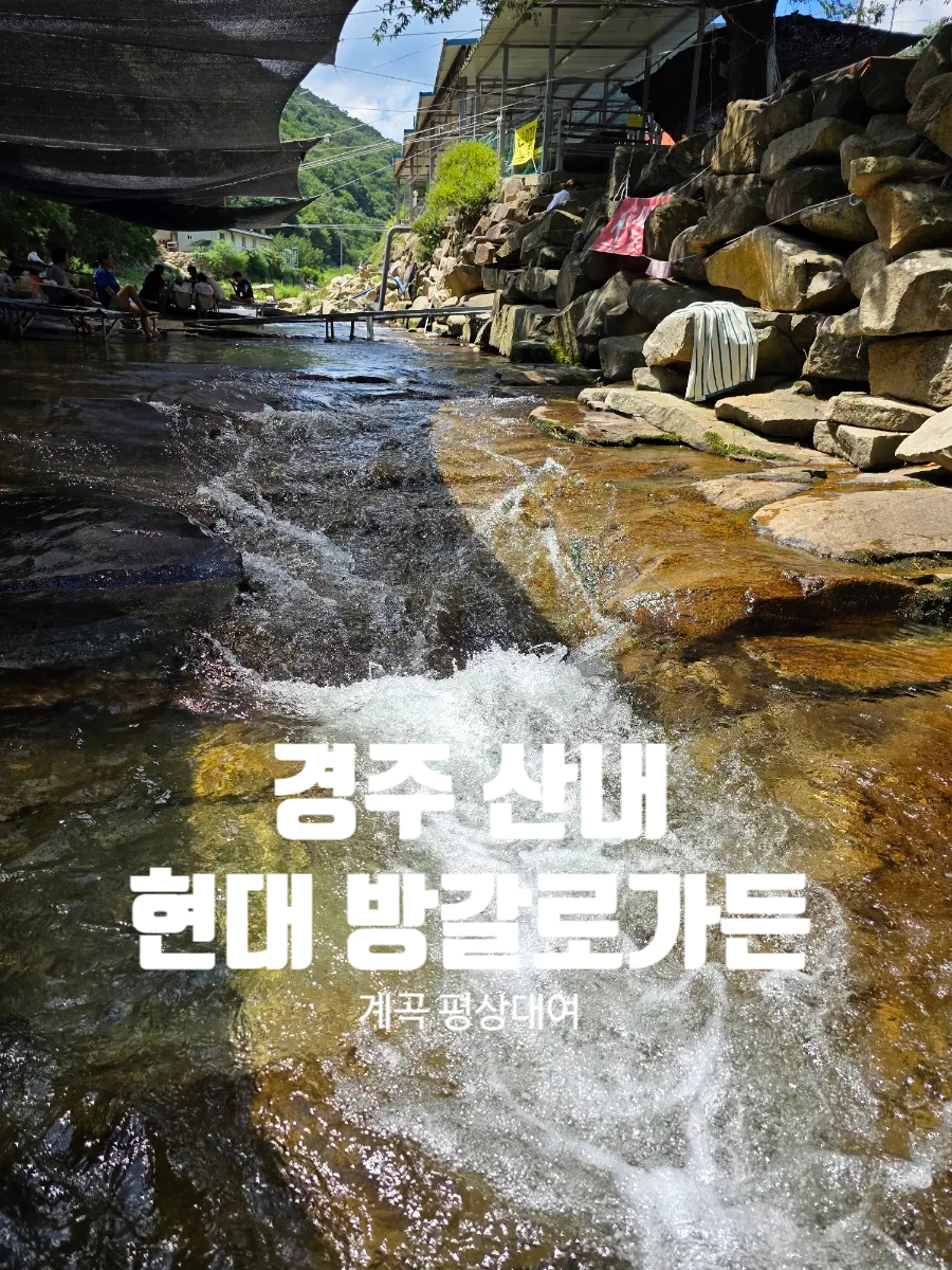 수림산장 사진 1