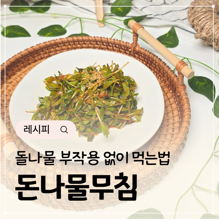  돌나물무침 돈나물 부작용 없이 요리