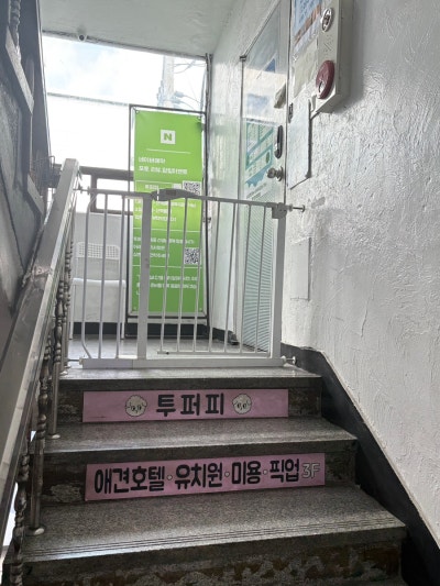 사진 8
