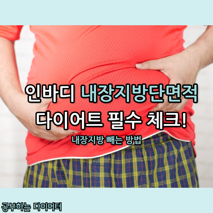  【내장지방단면적 기준】 겉으로는 몰랐던 내장지방 수치, 이 정도면 정상일까?