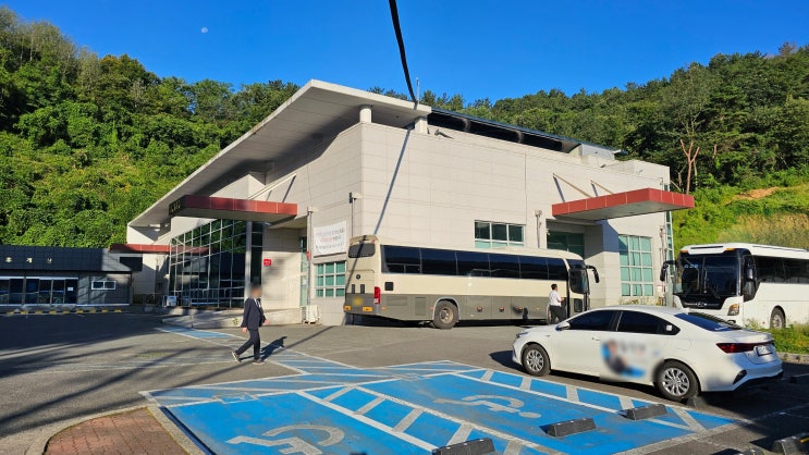  진주 안락공원에서 매장까지