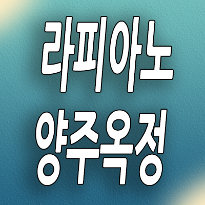  양주 옥정신도시 할인분양 타운하우스 옥정동 라피아노 스위첸 단독주택 분양가