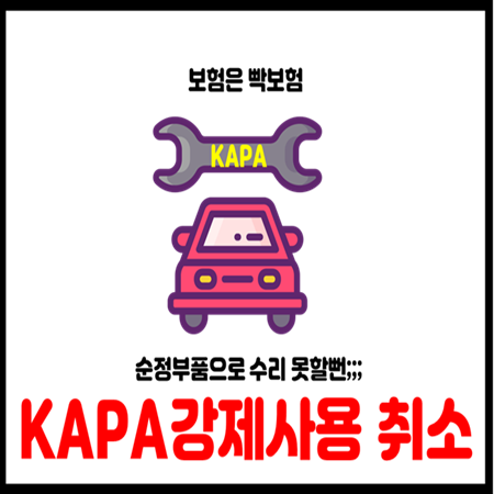  금융감독원 자동차보험 KAPA 품질인증부품 강제사용 개정안 취소