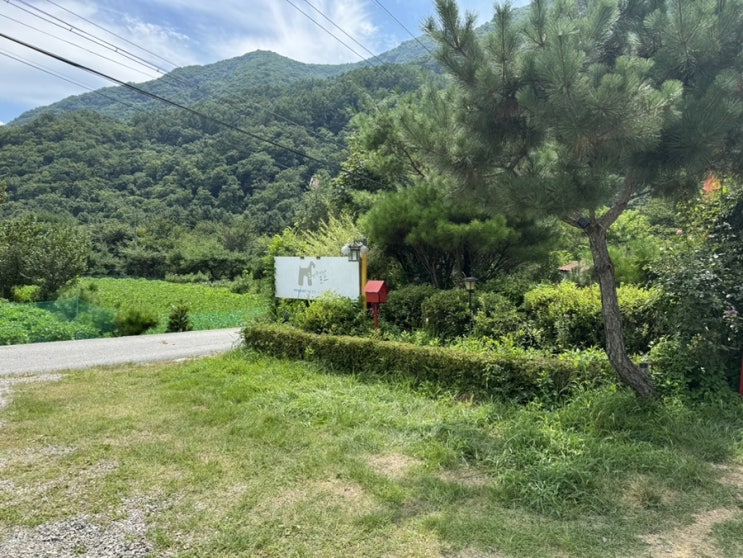  가평 용소폭포 펜션 추천 단체 숙소 레젤프펜션 생생 후기
