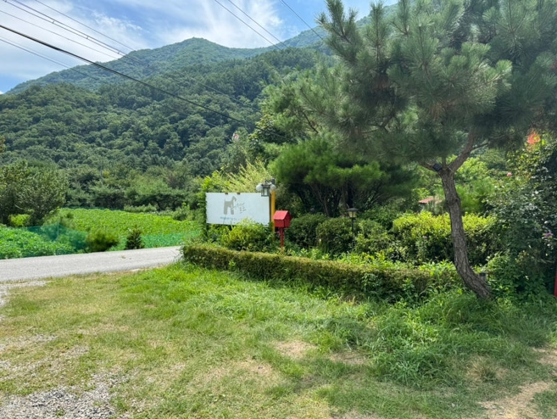 사진 2