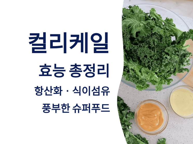  컬리케일 효능 총정리: 항산화ㆍ식이섬유 풍부한 슈퍼푸드