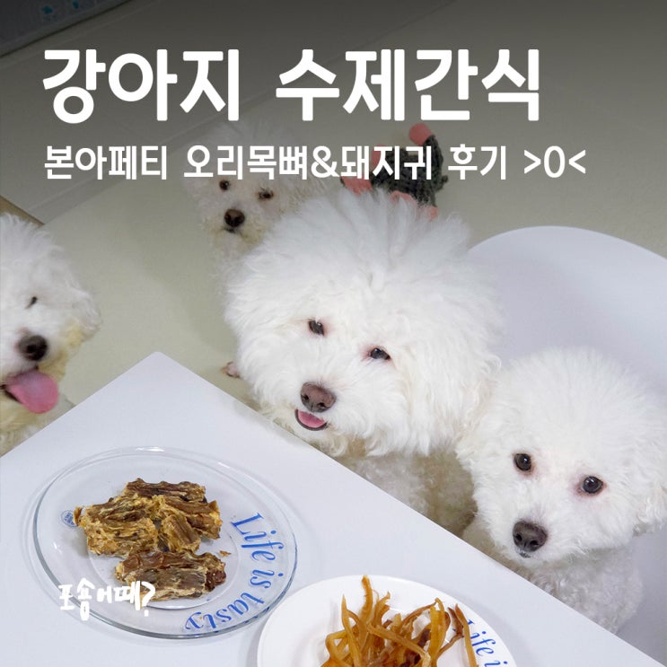  강아지 수제간식 추천! 본아페티 오리목뼈&돼지귀 후기