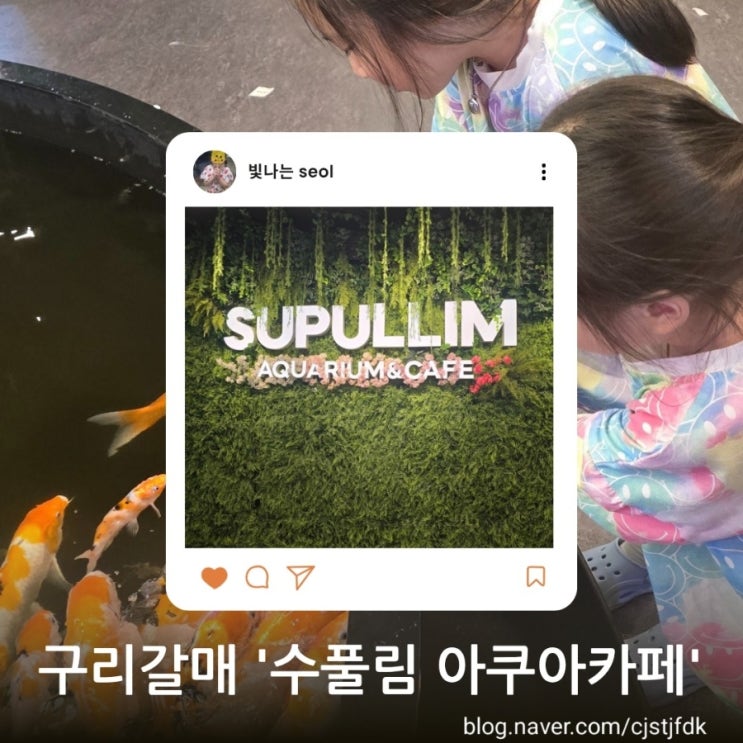  구리 갈매 수풀림 아쿠아카페 다녀온 찐후기