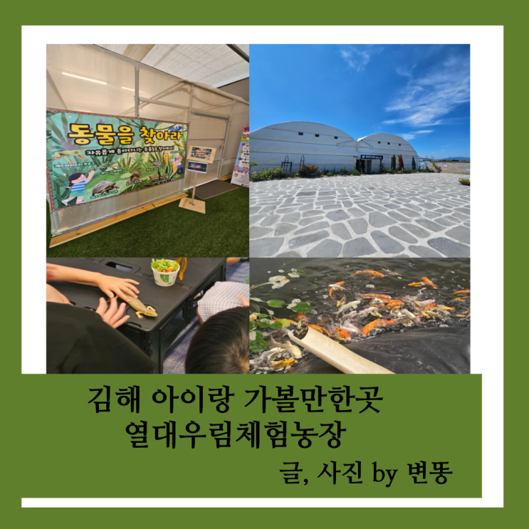  김해 체험형농장, 김해아이랑 가볼만한곳: 김해열대우림체험농장 내돈내산 찐 후기(한번쯤은 가볼만하지만, 아쉬운점이 더 많아요ㅠ)