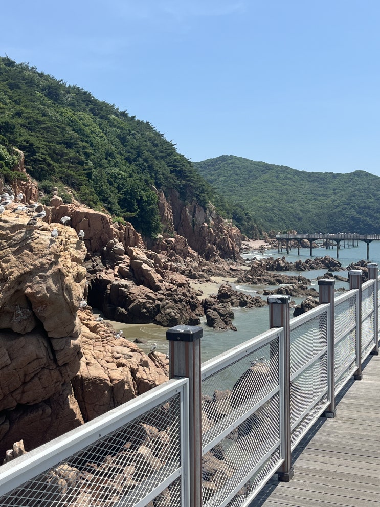  인천 당일치기 여행 코스 추천 (무의도, 꽃달막국수, 바다뷰 카페 다스도츠)