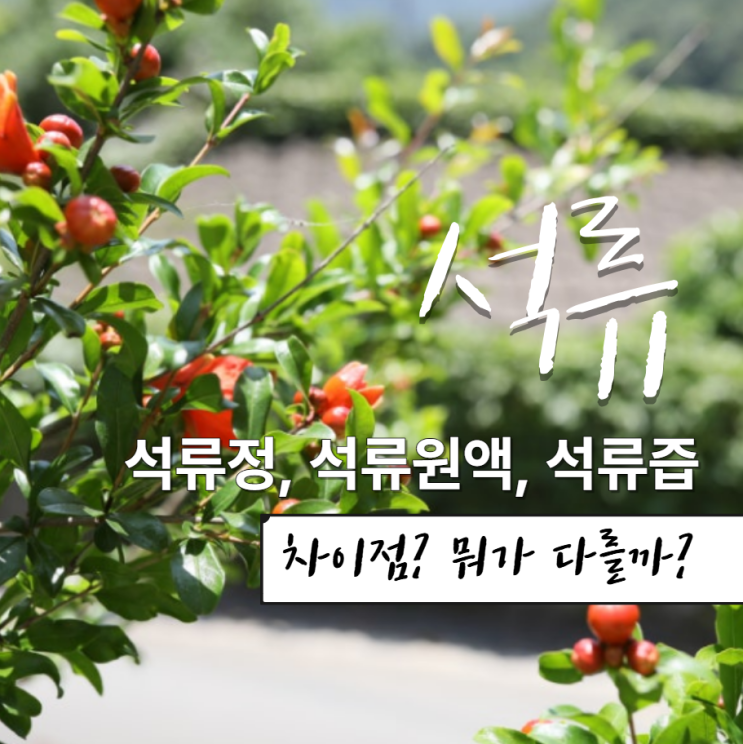  석류정 석류원액, 즙 효능 효과 차이점