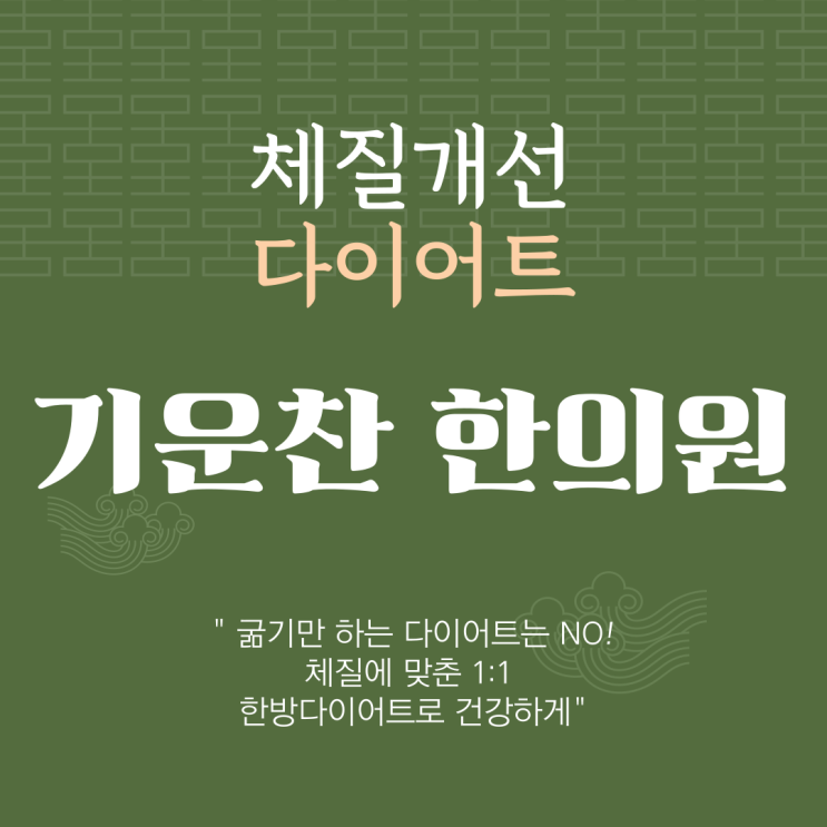  분당 구미동 기운찬한의원::먹기 편한 한방 슬림 다이어트환제품 과연 효과 있을까?