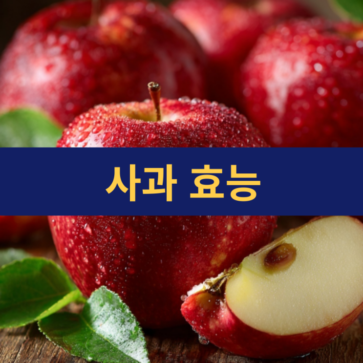  사과 효능 | 아오리사과 초록사과 효능 | 아누카사과효능