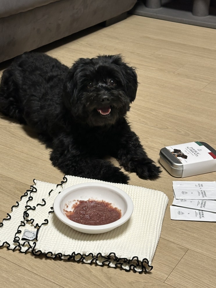  강아지 기력 회복에 딱! 퍼블릭 뉴트리언츠 이터널 파워 파우더