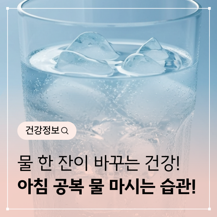  물 한 잔이 바꾸는 건강의 시작