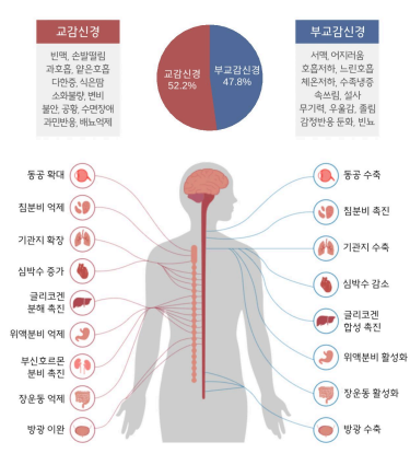  (운중동한의원) 갱년기 자율신경실조증, 불안·두근증상 한방 치료로 해결하세요