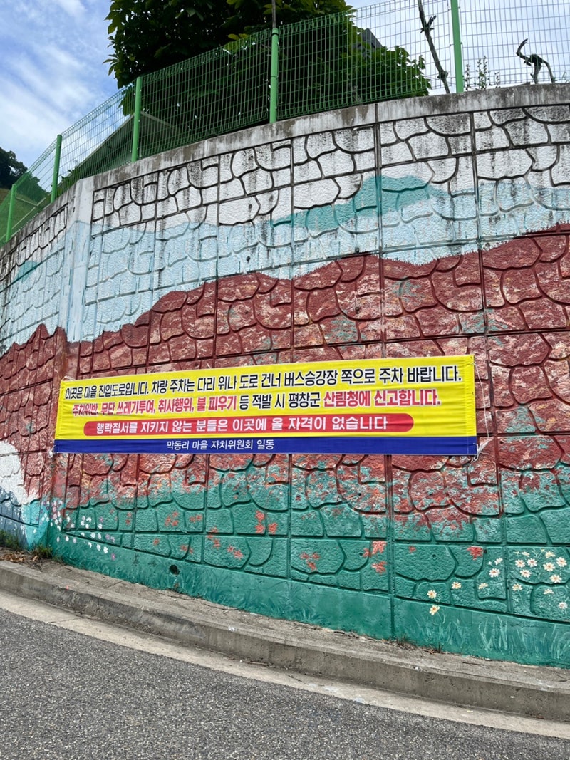 사진 2