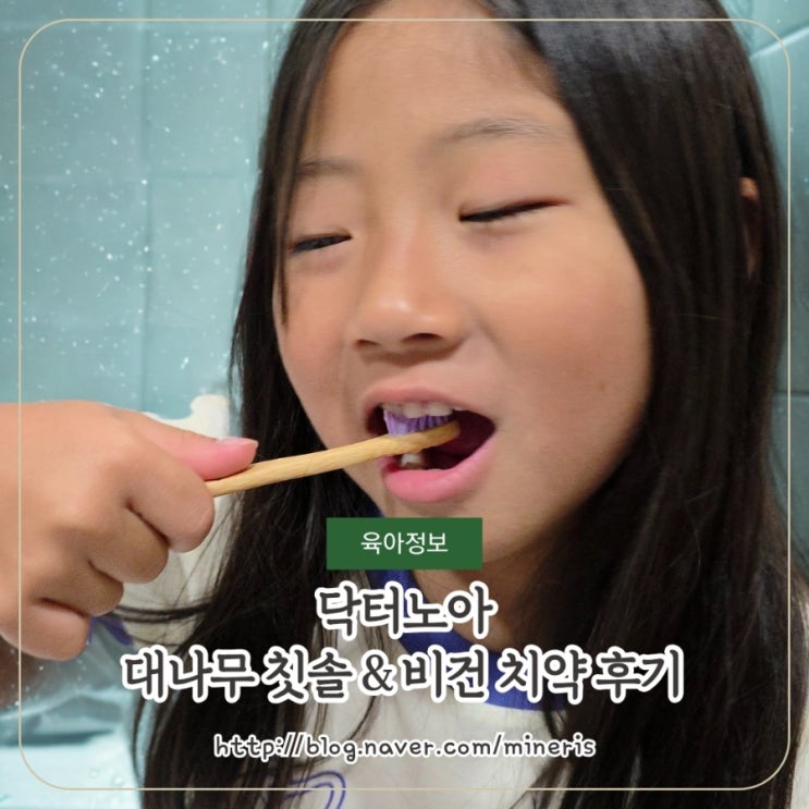  닥터노아 대나무 유아 칫솔 어린이 치약 추천 후기