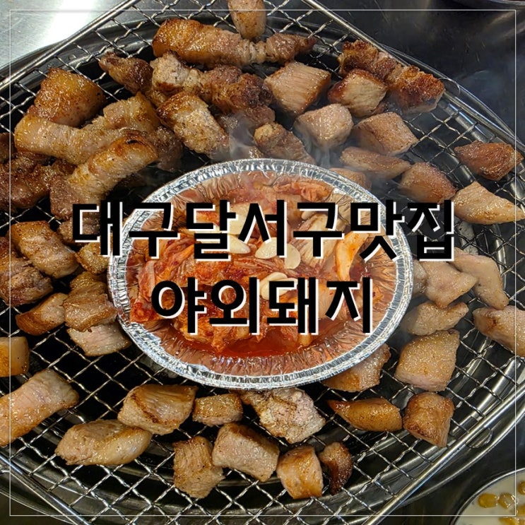  대구달서구맛집 야외돼지 방문 후기