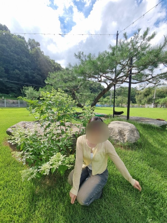 사진 10