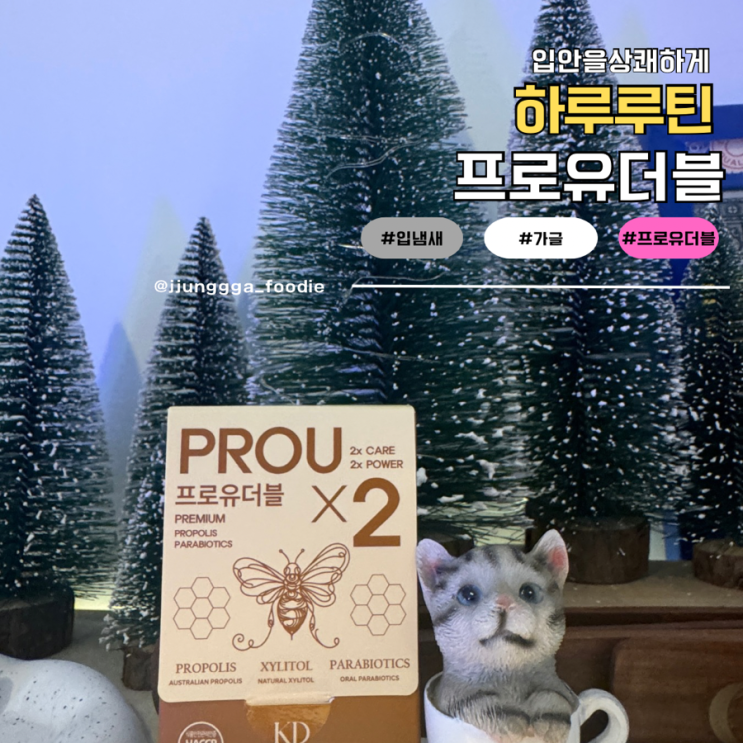  잇몸 건강 프로폴리스 염증 구강관리에 좋은 프로유더블