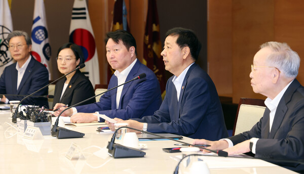 정부, 기업들의 옥쇄 <b>경제</b> 형사처벌 과태료·과징금 등 <b>배임죄</b>... 