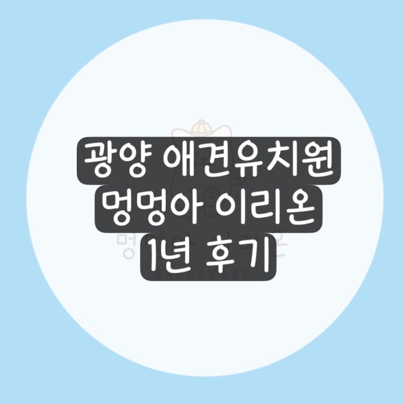멍멍아이리온
