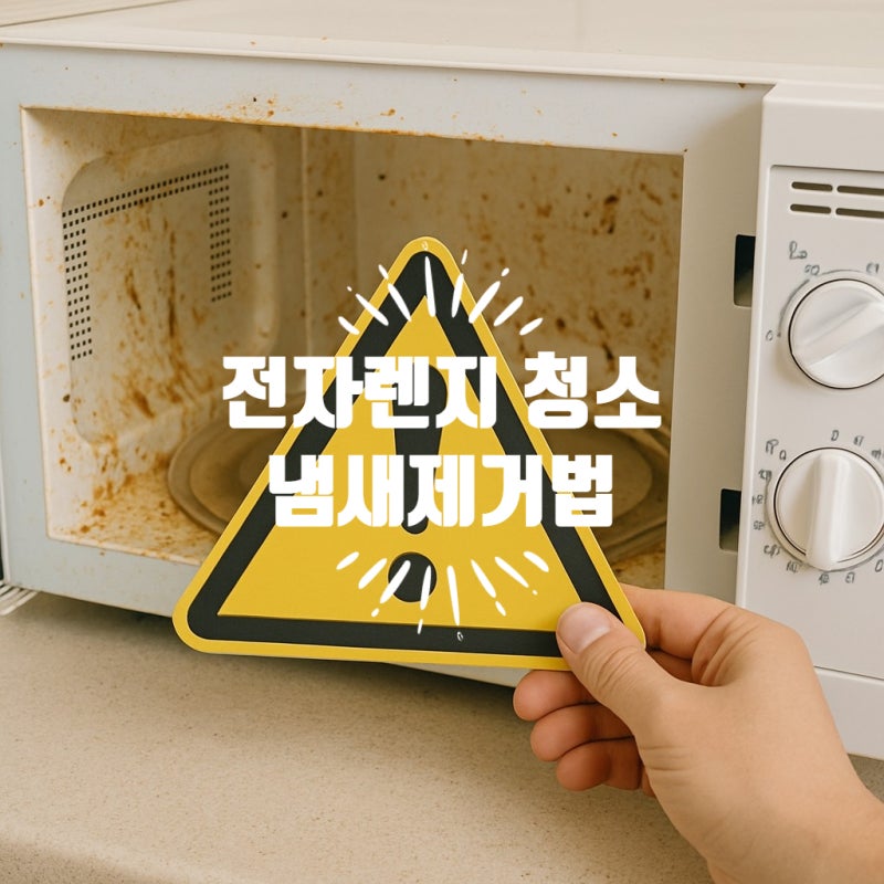 전자렌지 청소와 냄새 제거, 레몬 없이도 완벽하게 가능해요