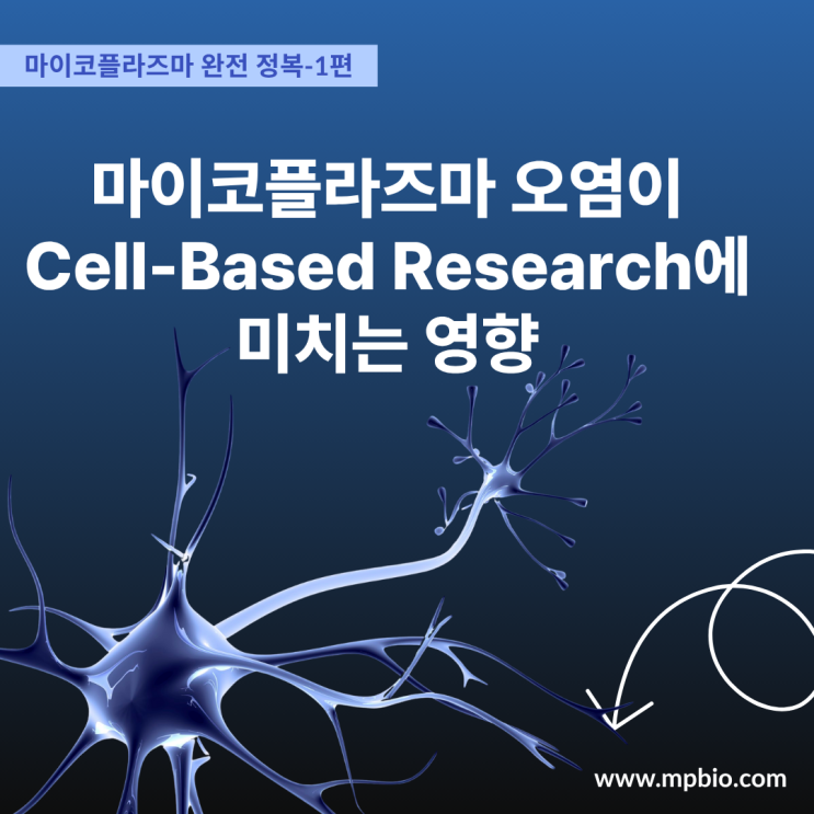  [마이코플라즈마 완전 정복 시리즈 #1] 실험의 숨은 위협, 마이코플라즈마 오염이 Cell-Based Research에 미치는 영향