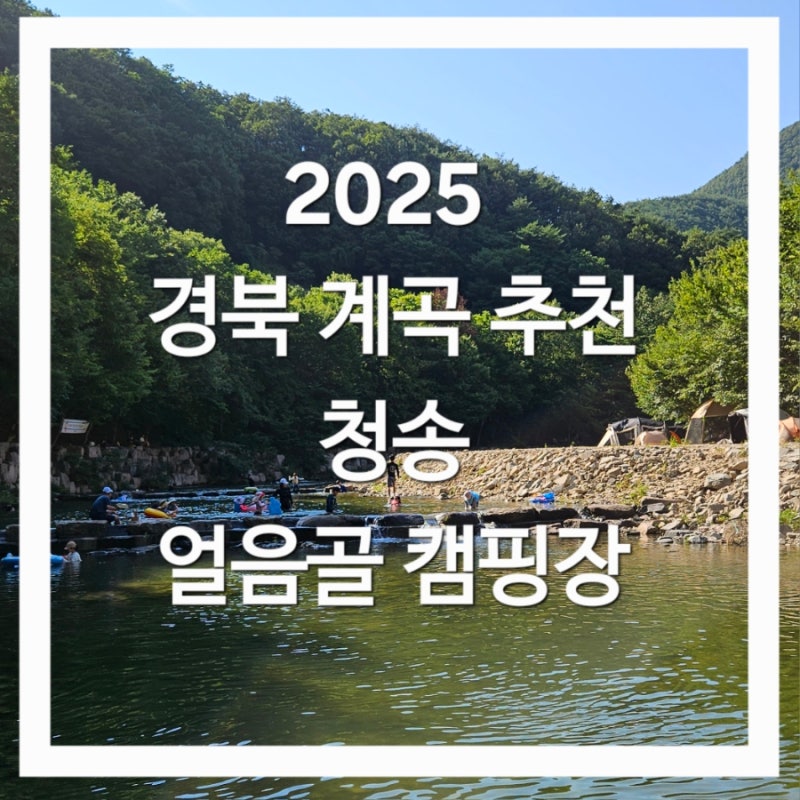 사진 2