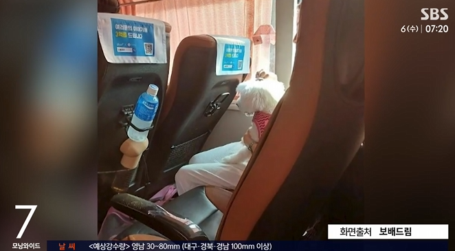  고속버스 좌석에 반려견 ‘직접 착석’ 논란