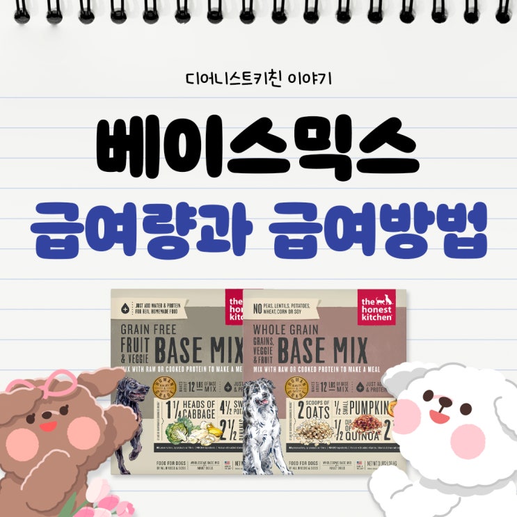  디어니스트키친 베이스믹스 급여방법 및 급여량 알아보기