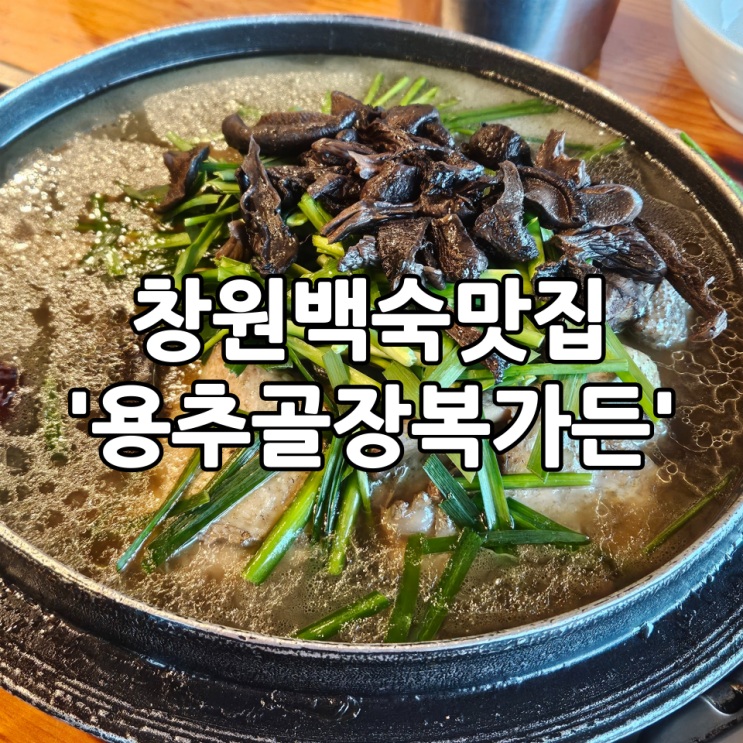  창원회식장소 '용추골장복가든' | 복날에 몸보신 하기 좋은 창원백숙맛집