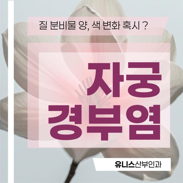  성수역자궁경부염, 질염인줄 알았던 의심 증상과 원인 치료까지