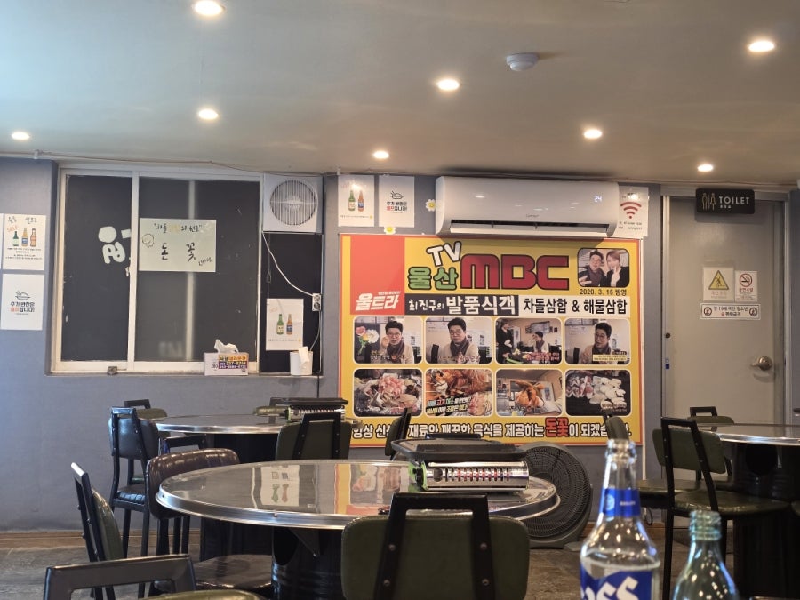 돈꽃 진하해수욕장점 사진 3