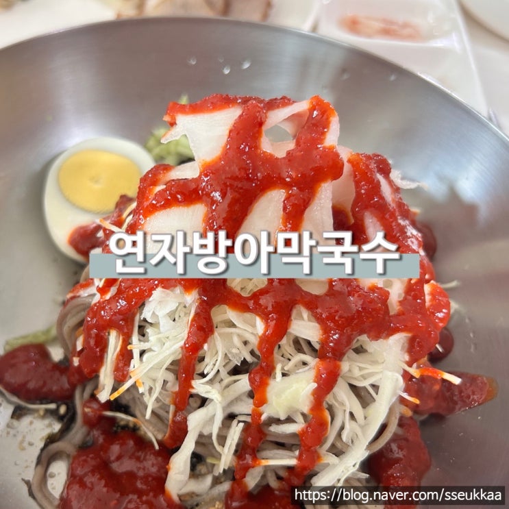  둔내막국수맛집 연자방아막국수 웰리힐리파크 횡성 점심 추천 조합