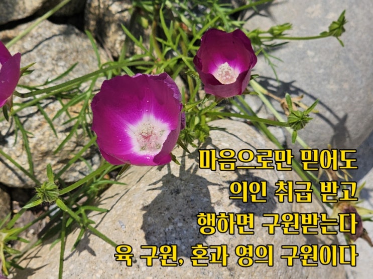  jms 정명석목사 잠언 ㅡ  마음으로만