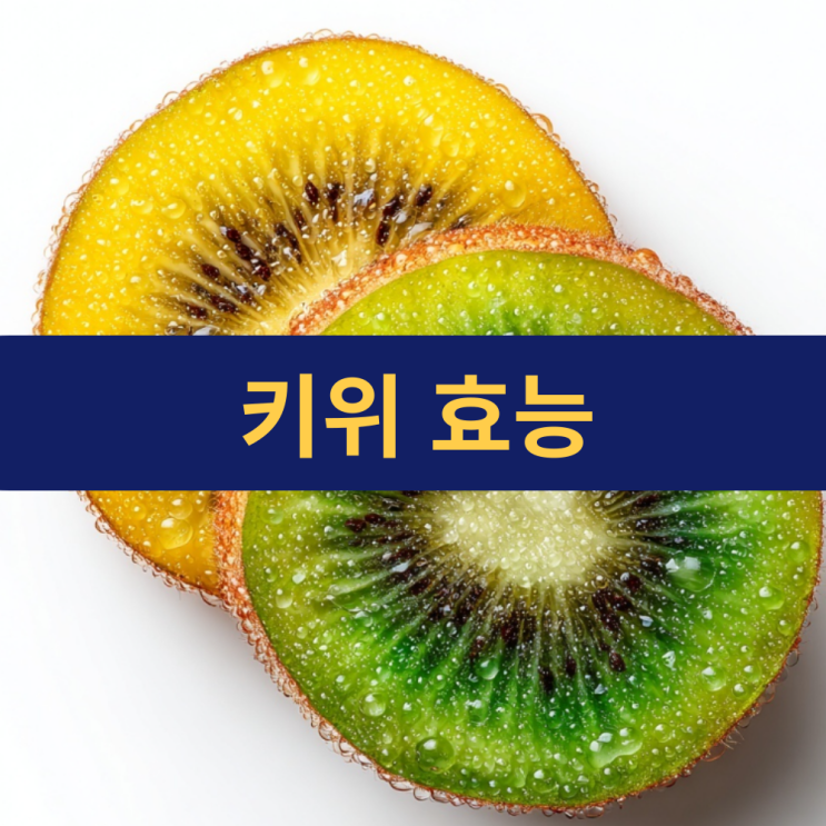  키위 효능 | 일반 키위 VS 골드 키위 효능 차이점 | 키위 1개 칼로리