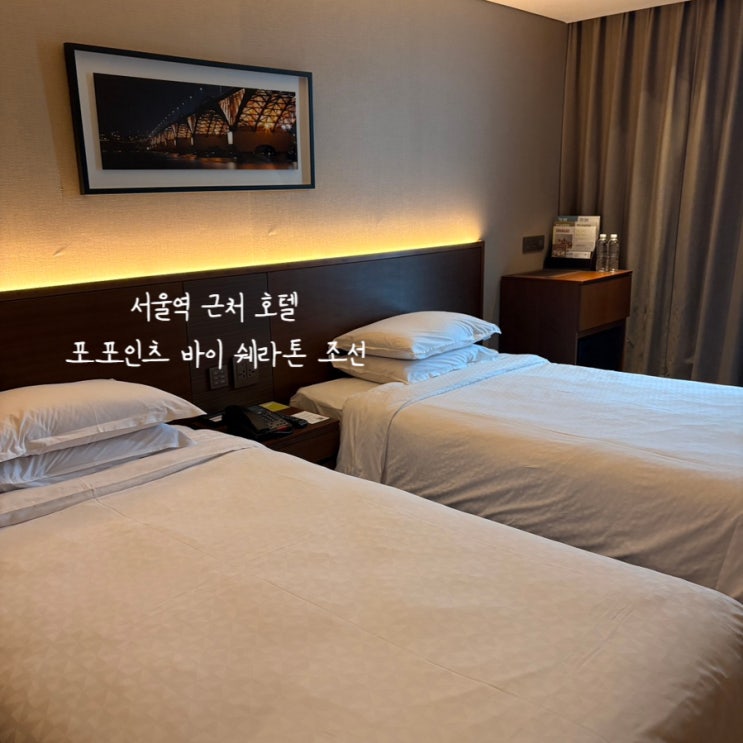  서울역 근처 포포인츠 바이 쉐라톤 호텔 내돈내산 추천