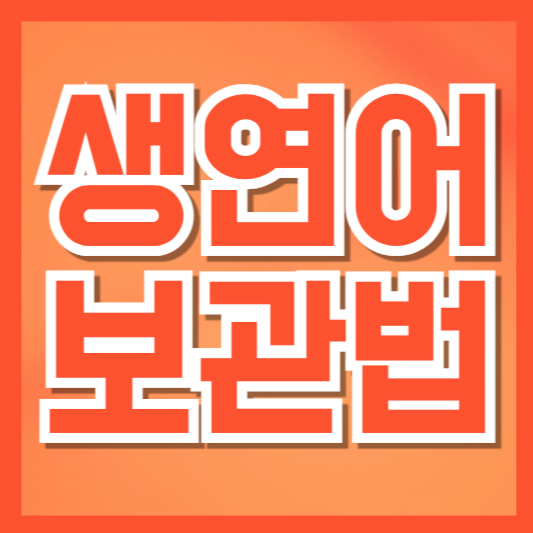  생연어 어떻게 보관해야 할까? 냉장·냉동·숙성별 완벽 정리