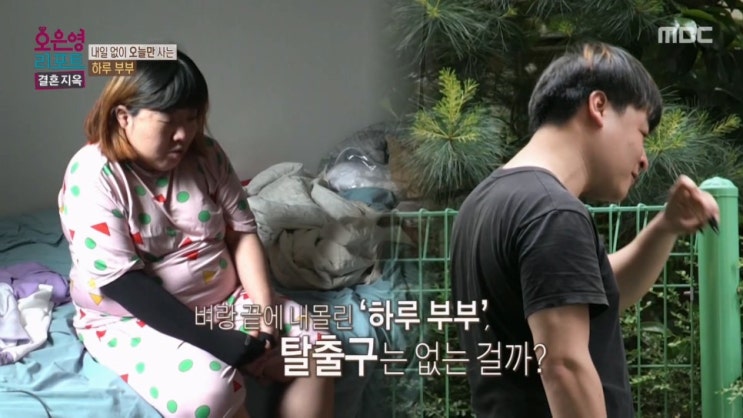  결혼지옥 하루부부 오은영리포트 나이 직업 프로필 무직 기초생활수급 변기김치 부부싸움 흉기 출연료 재방송 편성표 정보 총정리