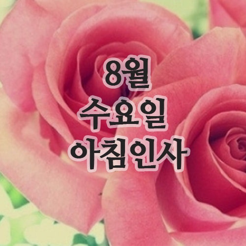  8월의 인사말 이미지, 7일 목요일 행복한 아침인사