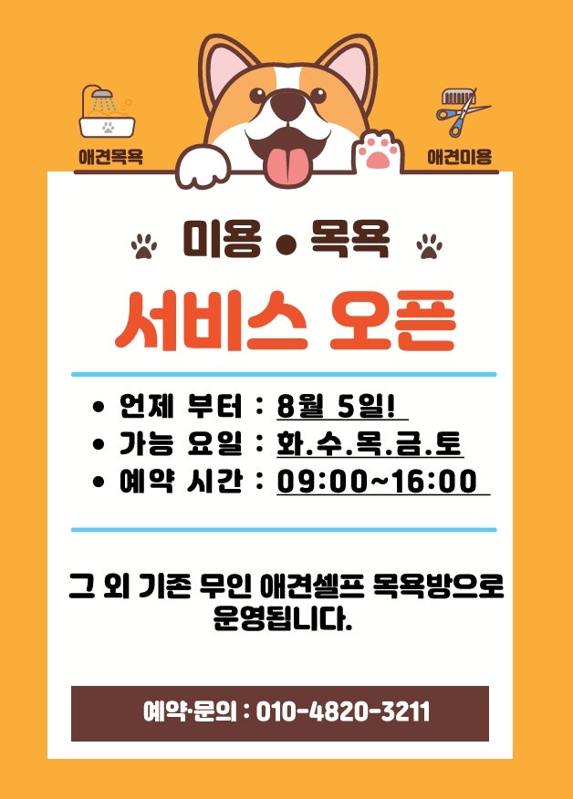 사진 7