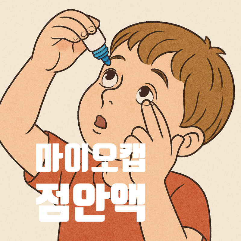 [대전 유성성모안과] 마이오캡 점안액