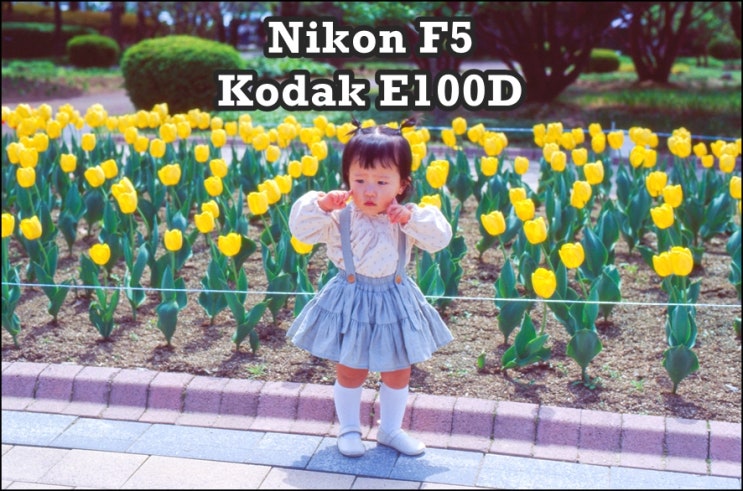  니콘 F5 | 코닥 E100D 슬라이드필름 | 날씨 맑을 때 방문한 춘천 강원도립화목원 필름사진